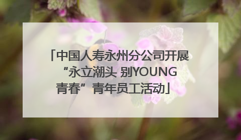 中国人寿永州分公司开展“永立潮头 别YOUNG青春”青年员工活动