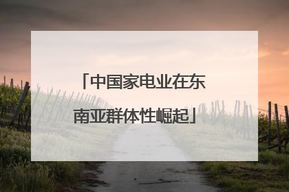 中国家电业在东南亚群体性崛起