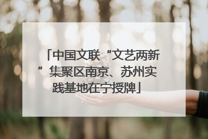 中国文联“文艺两新”集聚区南京、苏州实践基地在宁授牌