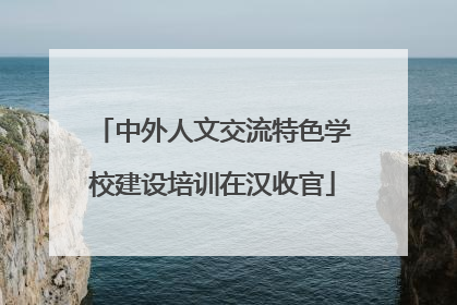 中外人文交流特色学校建设培训在汉收官