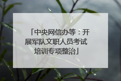 中央网信办等：开展军队文职人员考试培训专项整治