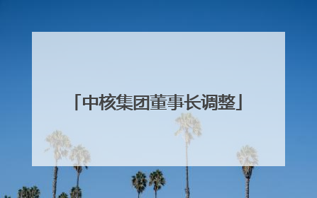 中核集团董事长调整