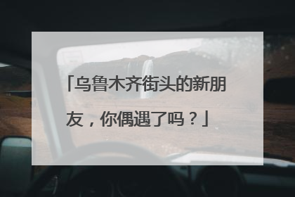 乌鲁木齐街头的新朋友，你偶遇了吗？