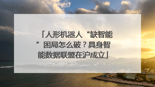 人形机器人“缺智能”困局怎么破？具身智能数据联盟在沪成立