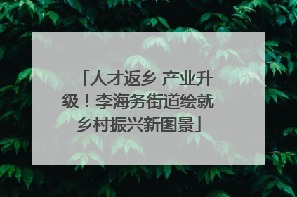 人才返乡 产业升级！李海务街道绘就乡村振兴新图景