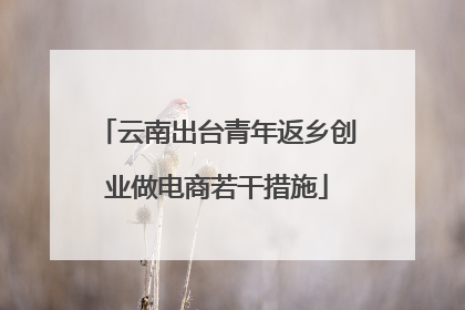 云南出台青年返乡创业做电商若干措施