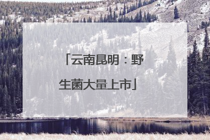 云南昆明：野生菌大量上市