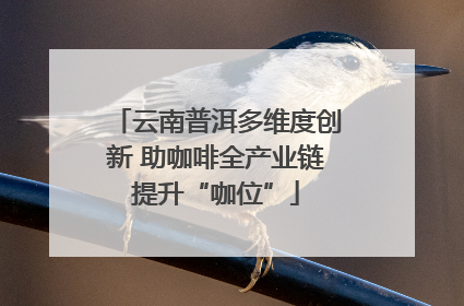 云南普洱多维度创新 助咖啡全产业链提升“咖位”