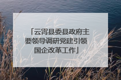云霄县委县政府主要领导调研党建引领国企改革工作