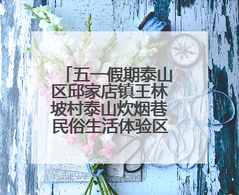 五一假期泰山区邱家店镇王林坡村泰山炊烟巷民俗生活体验区人气爆棚