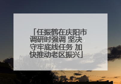 任振鹤在庆阳市调研时强调 坚决守牢底线任务 加快推动老区振兴