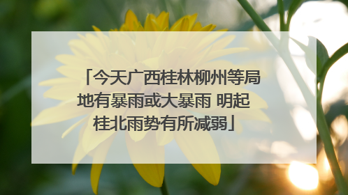 今天广西桂林柳州等局地有暴雨或大暴雨 明起桂北雨势有所减弱