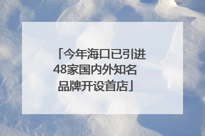 今年海口已引进48家国内外知名品牌开设首店