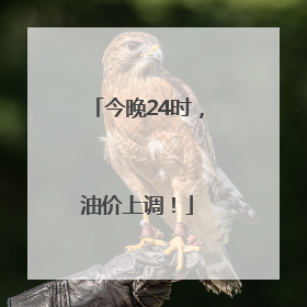 今晚24时，油价上调！