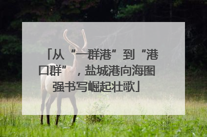 从“一群港”到“港口群”，盐城港向海图强书写崛起壮歌