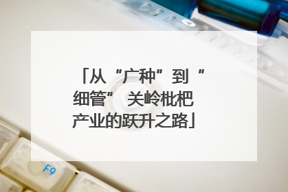 从“广种”到“细管” 关岭枇杷产业的跃升之路