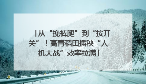 从“挽裤腿”到“按开关”！高青稻田插秧“人机大战”效率拉满