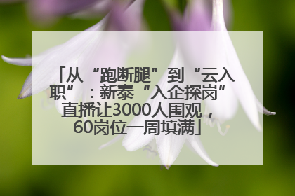 从“跑断腿”到“云入职”：新泰“入企探岗”直播让3000人围观，60岗位一周填满