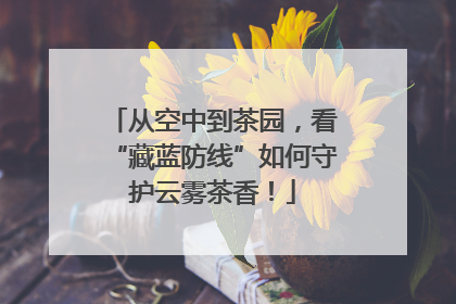 从空中到茶园，看“藏蓝防线”如何守护云雾茶香！