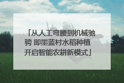 从人工弯腰到机械驰骋 即墨蓝村水稻种植开启智能农耕新模式