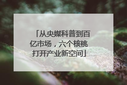 从央媒科普到百亿市场，六个核桃打开产业新空间