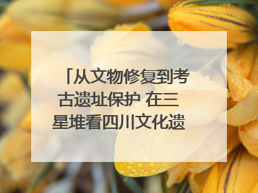 从文物修复到考古遗址保护 在三星堆看四川文化遗产焕发新光彩｜您牵挂的四川