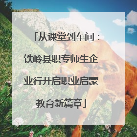 从课堂到车间：铁岭县职专师生企业行开启职业启蒙教育新篇章