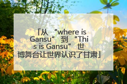 从 “where is Gansu” 到 “This is Gansu” 世博舞台让世界认识了甘肃