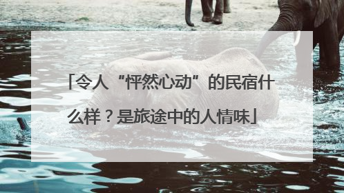 令人“怦然心动”的民宿什么样？是旅途中的人情味