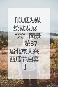 以瓜为媒 绘就发展“兴”图景——第37届北京大兴西瓜节启幕