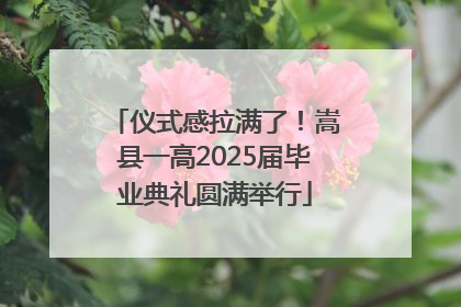 仪式感拉满了！嵩县一高2025届毕业典礼圆满举行