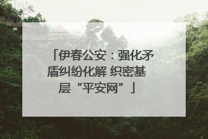 伊春公安：强化矛盾纠纷化解 织密基层“平安网”