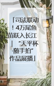 司法联动！4万尾鱼苗跃入长江｜“天平杯·随手拍”作品展播