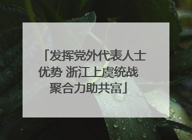 发挥党外代表人士优势 浙江上虞统战聚合力助共富
