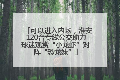 可以进入内场，淮安120台专线公交助力球迷观赏“小龙虾”对阵“恐龙妹”