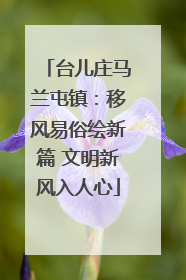 台儿庄马兰屯镇：移风易俗绘新篇 文明新风入人心
