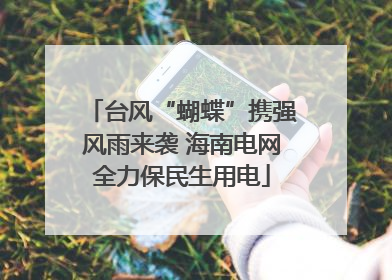 台风“蝴蝶”携强风雨来袭 海南电网全力保民生用电