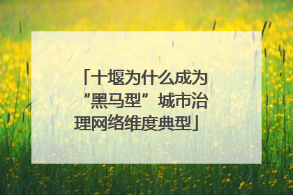 十堰为什么成为“黑马型”城市治理网络维度典型