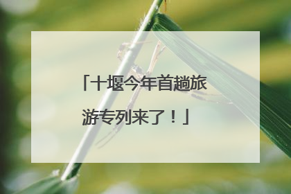 十堰今年首趟旅游专列来了！