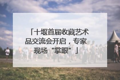 十堰首届收藏艺术品交流会开启，专家现场“掌眼”