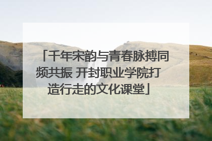 千年宋韵与青春脉搏同频共振 开封职业学院打造行走的文化课堂