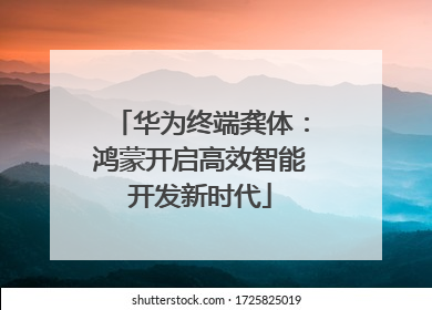 华为终端龚体：鸿蒙开启高效智能开发新时代