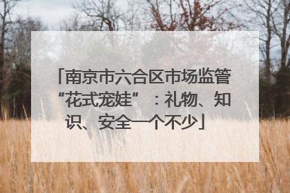 南京市六合区市场监管“花式宠娃”：礼物、知识、安全一个不少