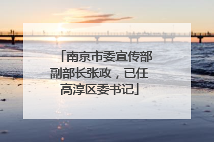南京市委宣传部副部长张政，已任高淳区委书记