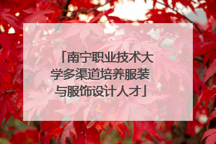 南宁职业技术大学多渠道培养服装与服饰设计人才