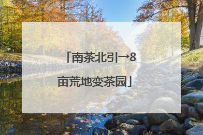 南茶北引→8亩荒地变茶园
