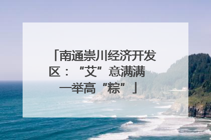 南通崇川经济开发区：“艾”意满满 一举高“粽”