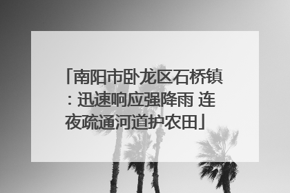 南阳市卧龙区石桥镇：迅速响应强降雨 连夜疏通河道护农田