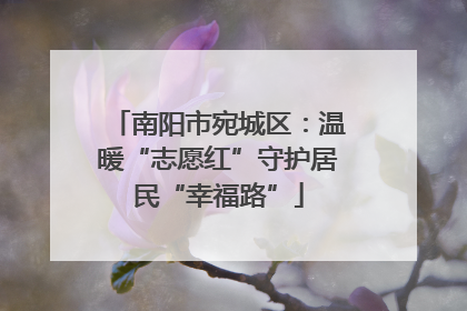 南阳市宛城区：温暖“志愿红”守护居民“幸福路”