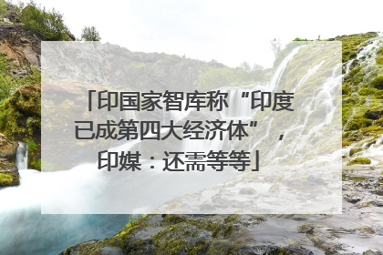 印国家智库称“印度已成第四大经济体”，印媒：还需等等